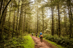 horseback riding poop on trail