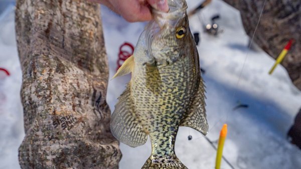 advanced ice fishing